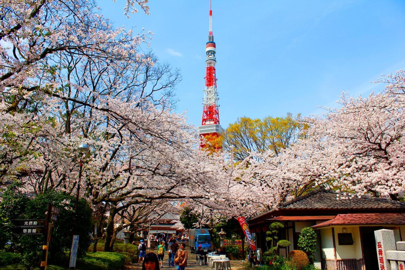 Rose Stay Tokyo Shiba Park 外观 照片